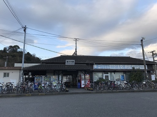 sunflower_beppu-02-008.jpg