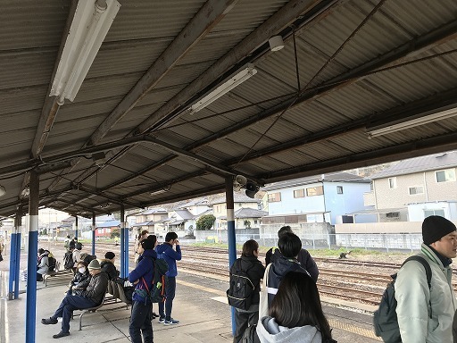 sunflower_beppu-02-009.jpg