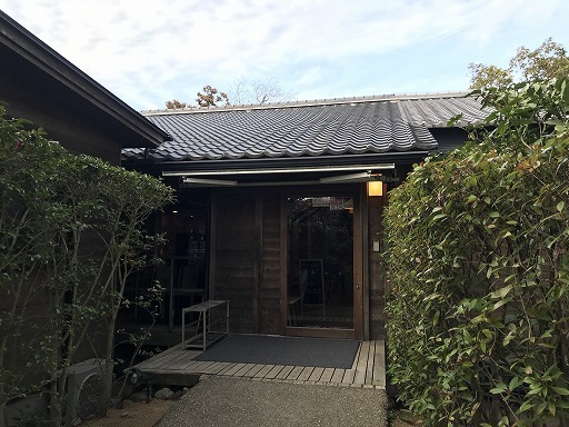 sunflower_beppu-02-029.jpg