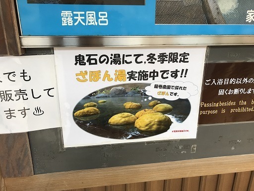 sunflower_beppu-02-030.jpg