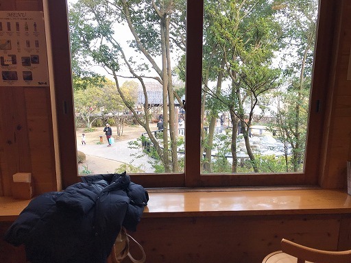 sunflower_beppu-02-031.jpg